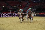 Quadrille - 00133